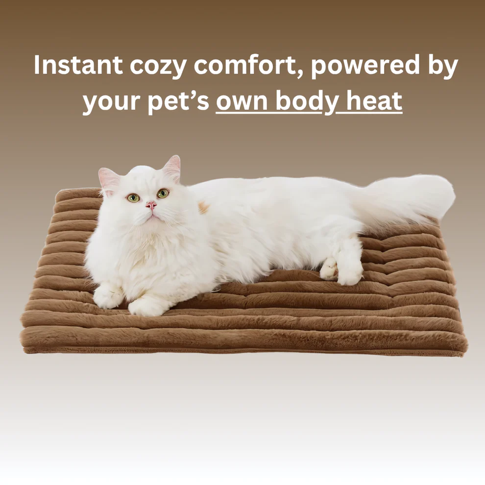 Self Warming Pet Bed
