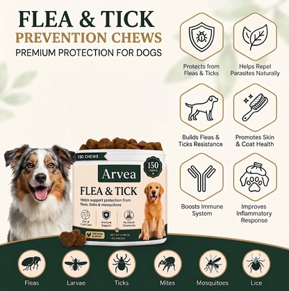 Flea & Tick Support Chews